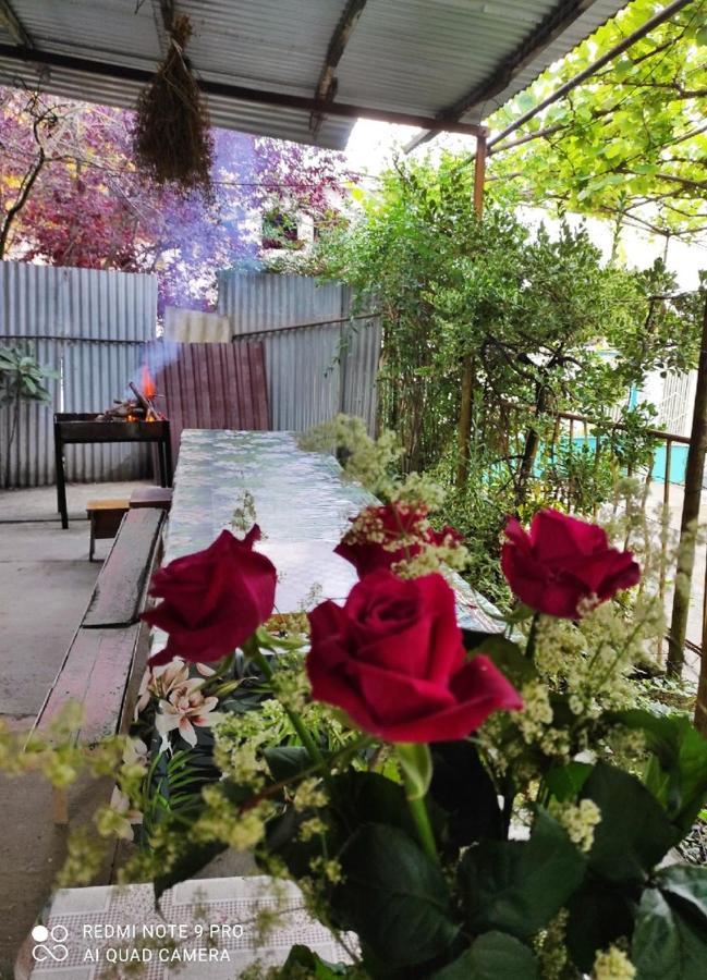 New Athos Guest House מראה חיצוני תמונה