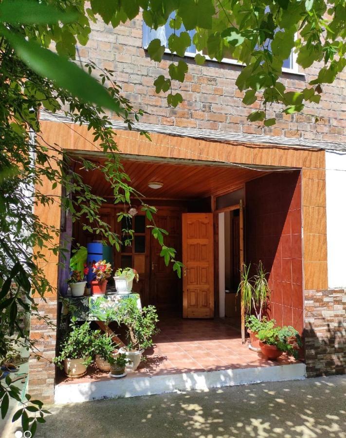 New Athos Guest House מראה חיצוני תמונה
