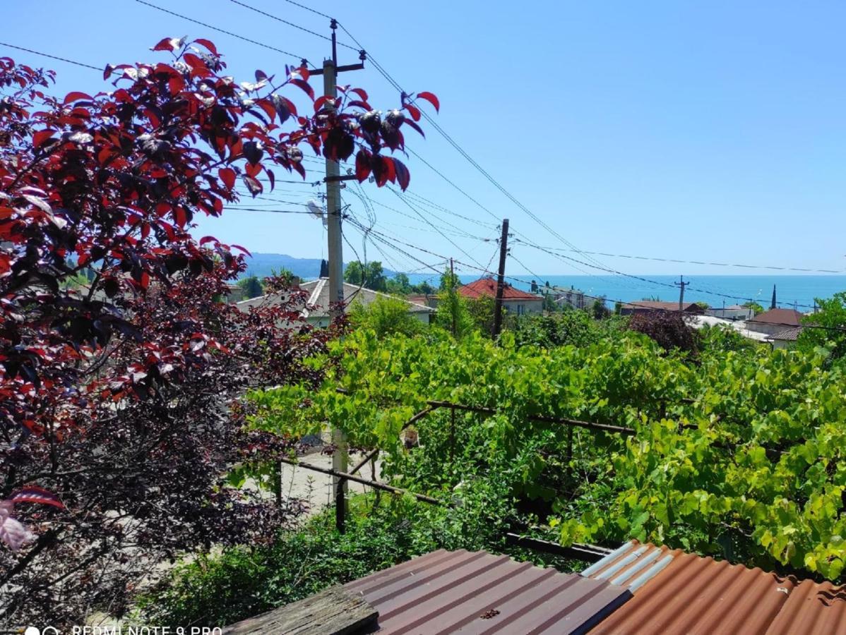 New Athos Guest House מראה חיצוני תמונה